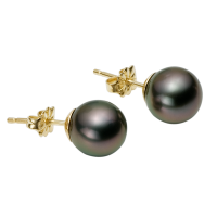 14K YELLOW GOLD EARRINGS WITH TAHITIAN PEARLS 