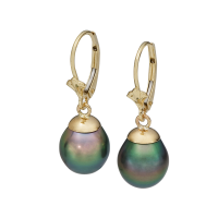 14K YELLOW GOLD PENDANT EARRINGS WITH TAHITIAN PEARLS 
