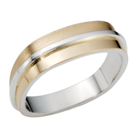 JONC ARGENT 925 ET OR